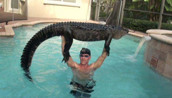 Gator Man