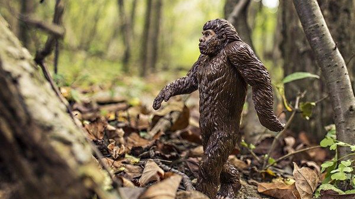 Bigfoot